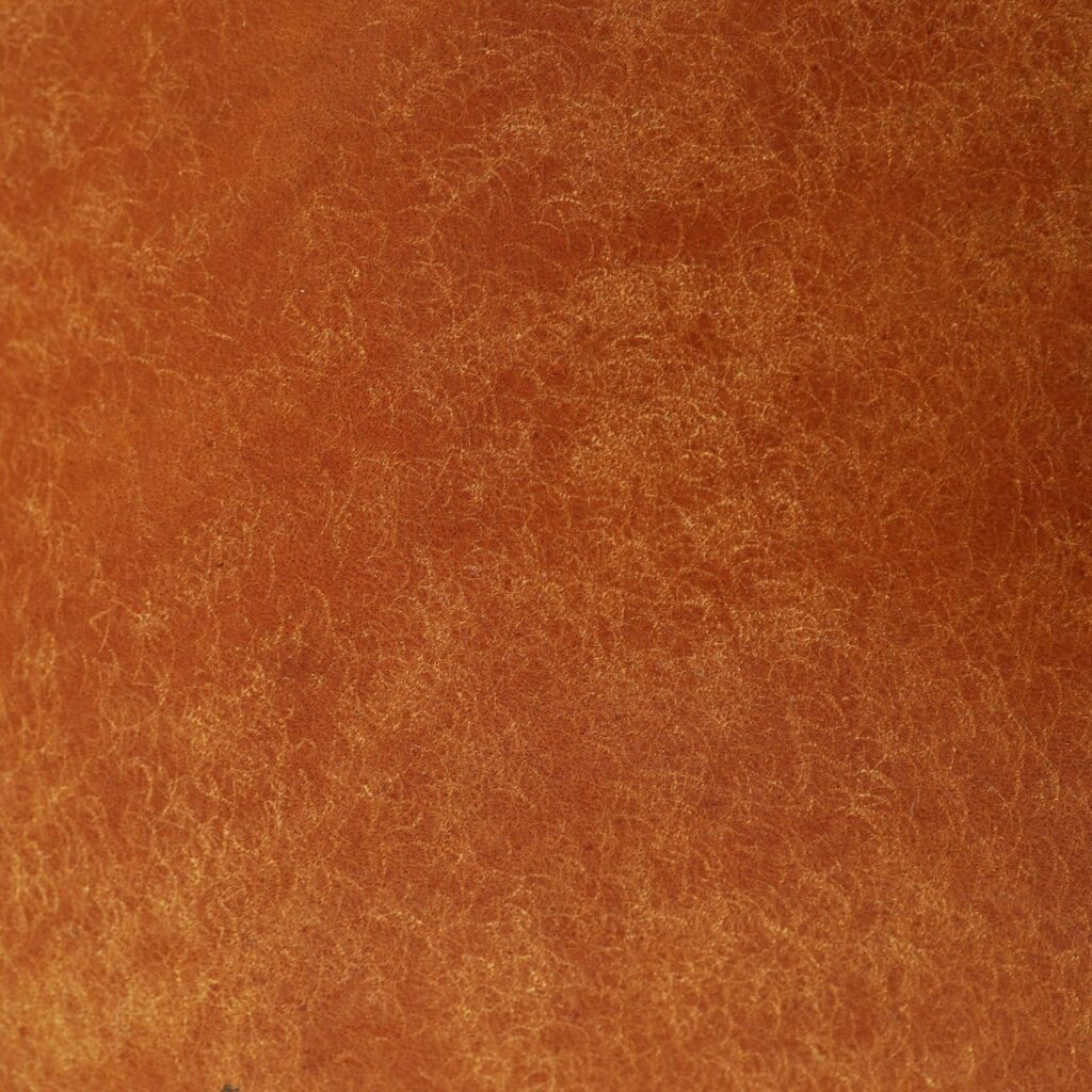 01-CA-P001