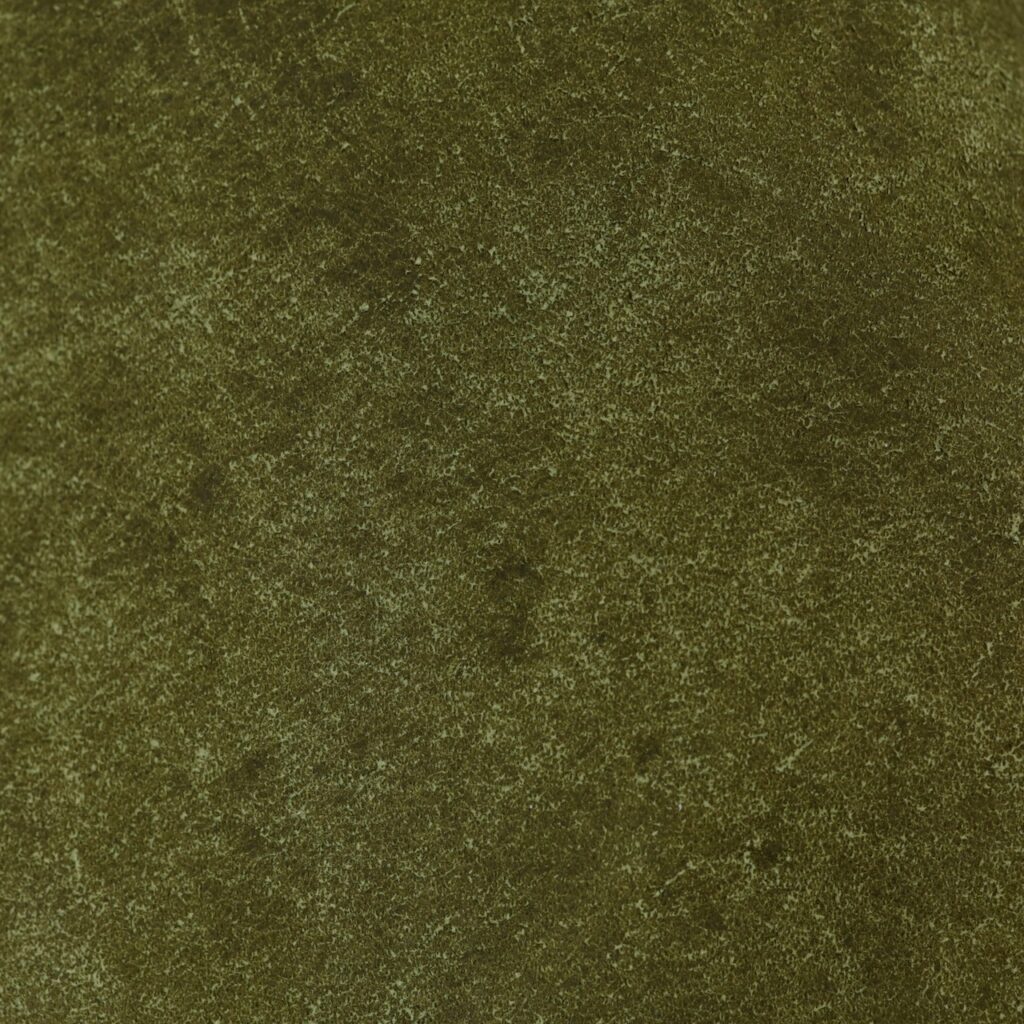 01-CA-P001