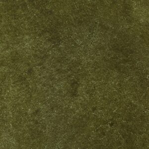 01-CA-P001