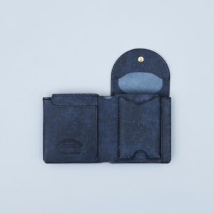 01-WA-P004